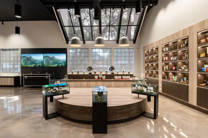 Skylight and black roof framing above curved wood display furniture inside The Set Los Feliz